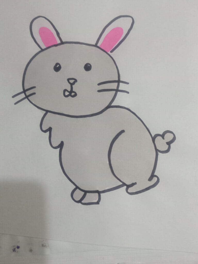 How draw grey rabbit