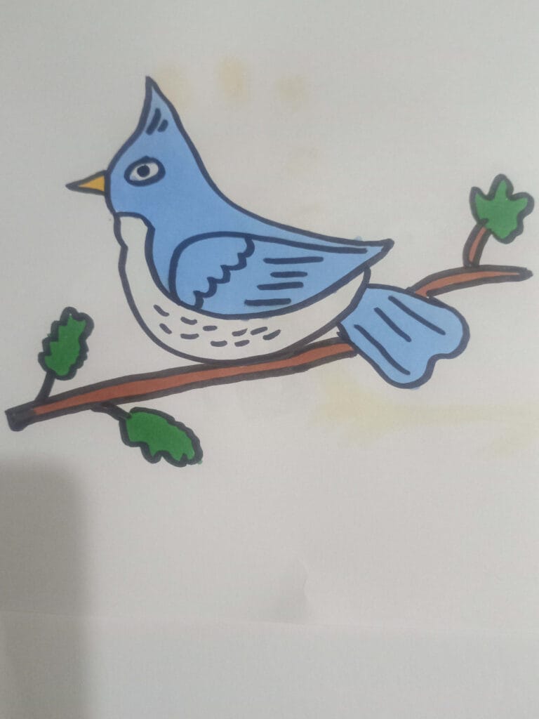 How to draw blue bird