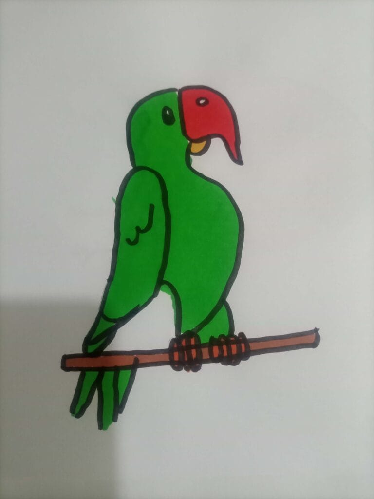 How to draw parrot