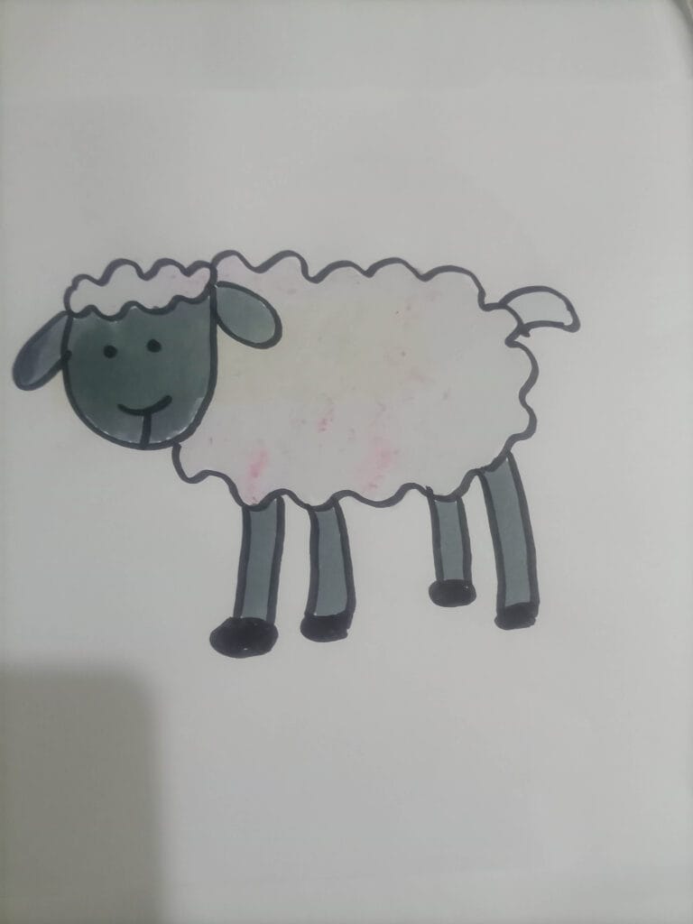 How to draw white sheep