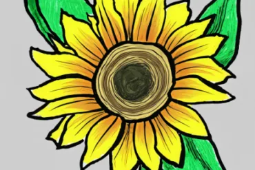 Sunflower drawing