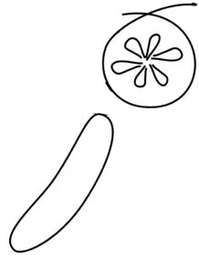 Cucumber drawing 3 01 How to draw a Cucumber