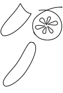 Cucumber drawing 4 01 How to draw a Cucumber