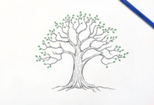 Read more about the article How to draw Family Tree: 6 Easy Step-by-step guide to family tree drawing