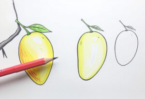 Read more about the article How to draw Mango: 7 Easy Step-by-Step Guide to Mango Drawing