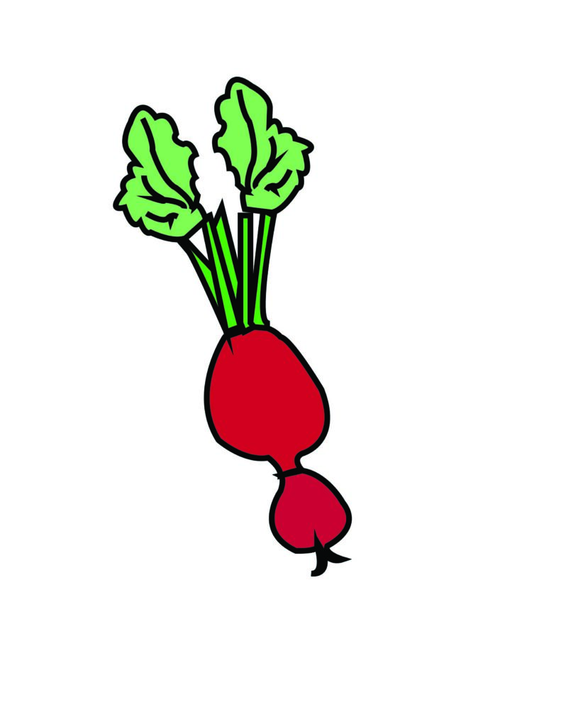 How to draw a Radish Drawing Tips and StepbyStep Guide Trying drawing