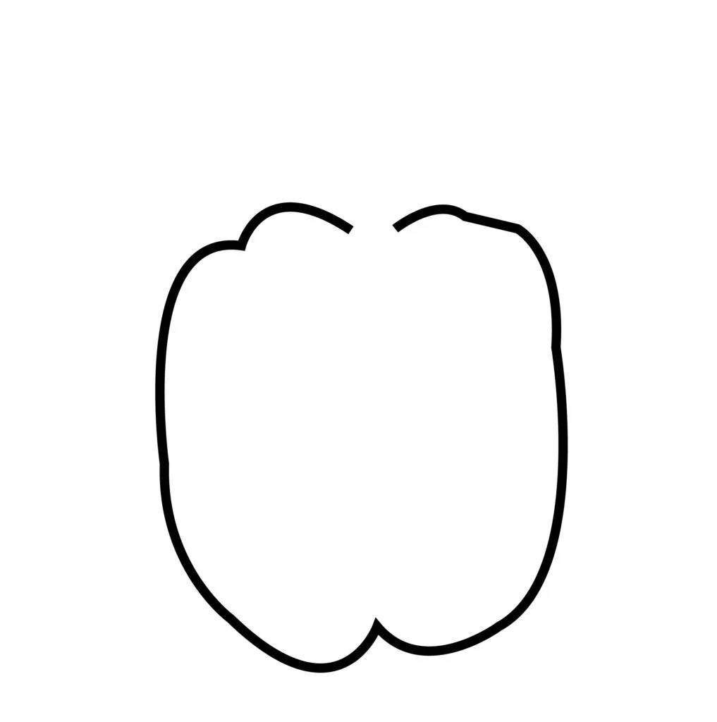 bell pepper 1 1 01 How to draw bell peppers