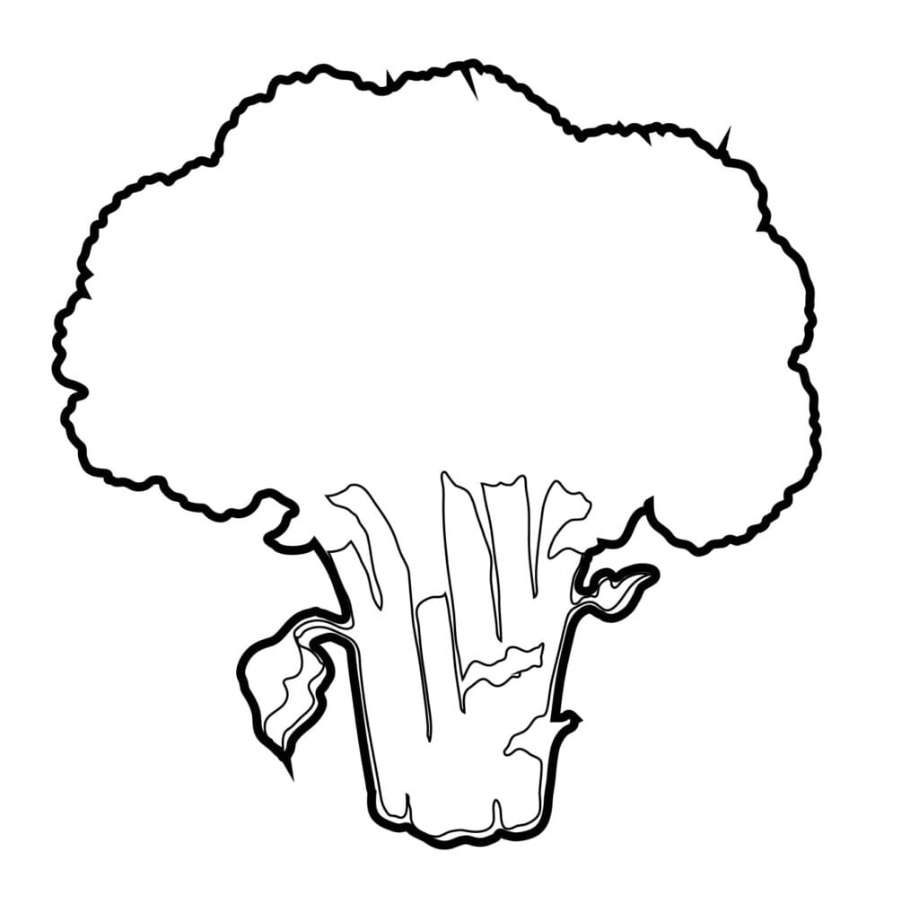 How to draw a broccoli