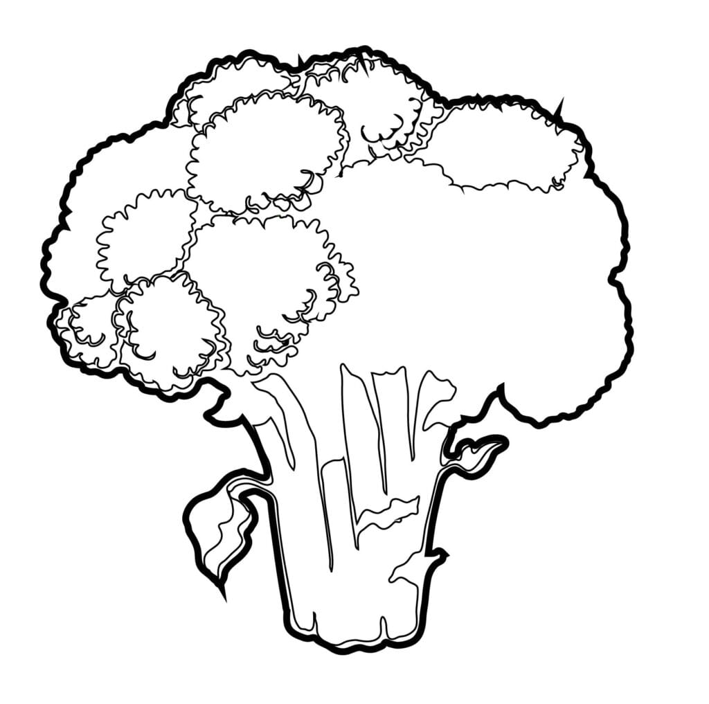 How to draw a broccoli