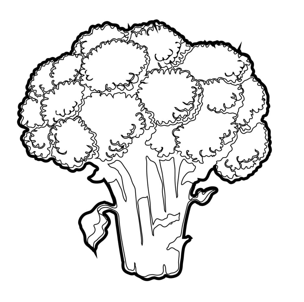 How to draw a broccoli