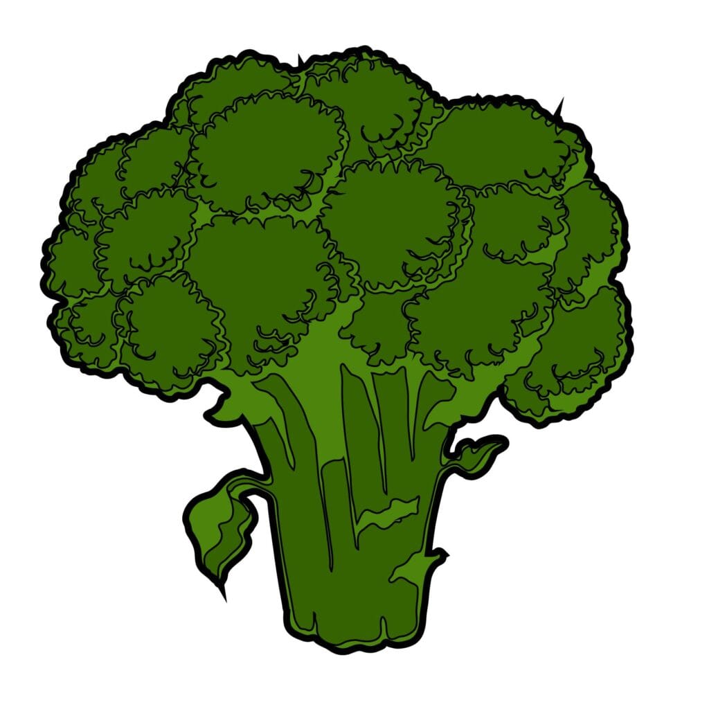 How to draw a broccoli