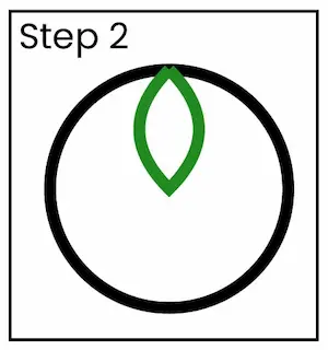 brussel sprout drawing step 2 01 Brussel sprouts drawing step 2