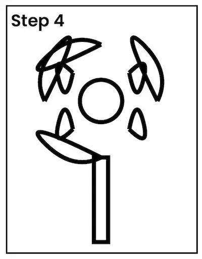 carnation drawing 4 01 carnation drawing 4 01 Trying drawing