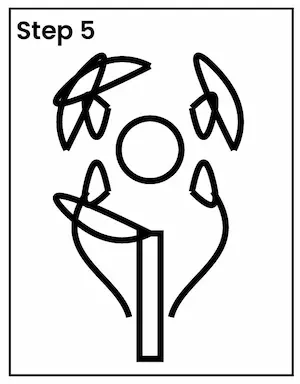 carnation drawing 5 01 carnation drawing 5 01 Trying drawing