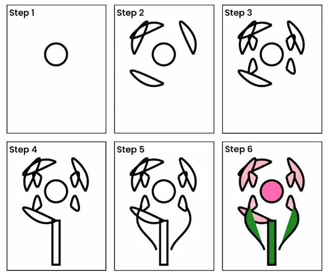 carnation drawing step all Carnation Drawing step all