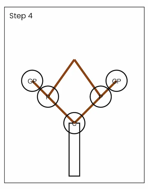familytreedrawing4 01 Family tree drawing step 4