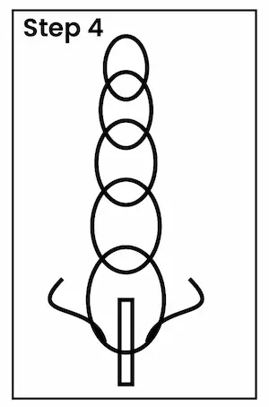 lavender drawing step 4 01 Lavender drawing step 4