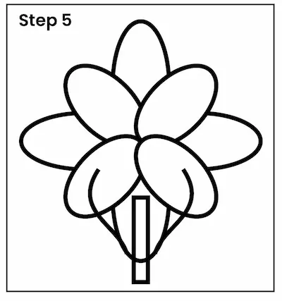 lily drawing step 5 01 Drawing lilies step 5