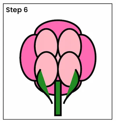 peony drawing step 6 01 peony drawing step 6