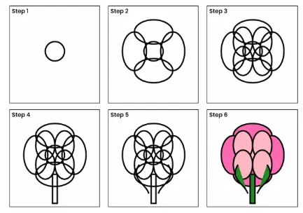 peony drawing step all peony drawing step all