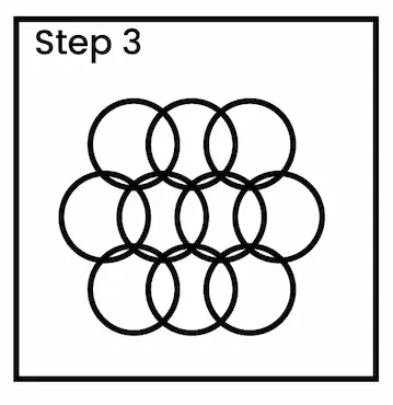raspberry drawing step 3 01 Raspberry drawing step 3