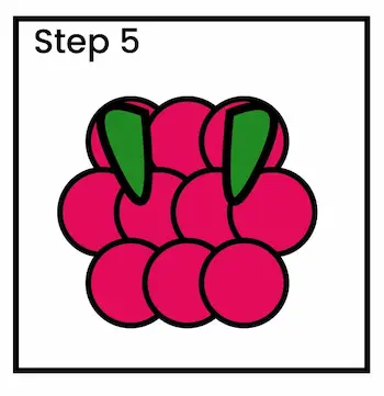 raspberry drawing step 5 01 How to draw raspberries step 5