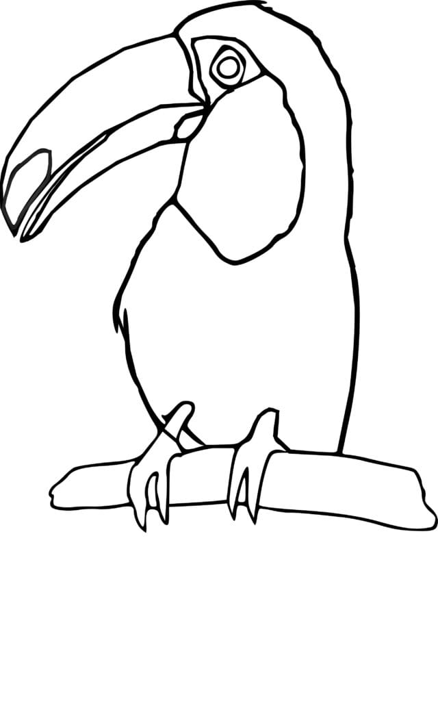 How to draw a toucan