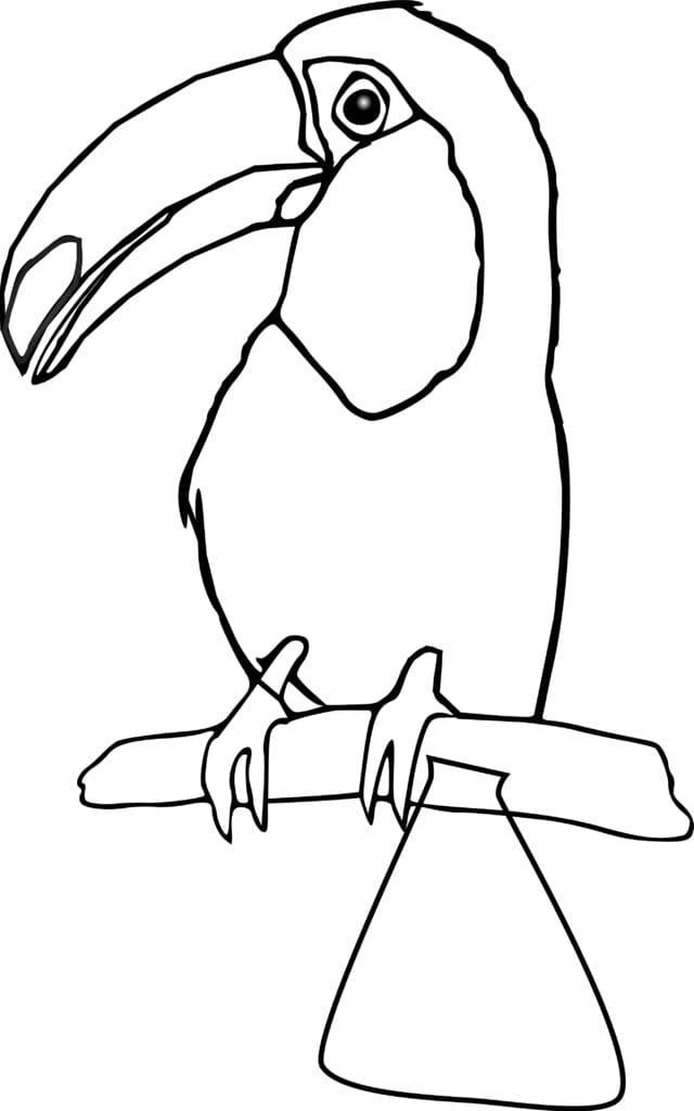 How to draw a toucan