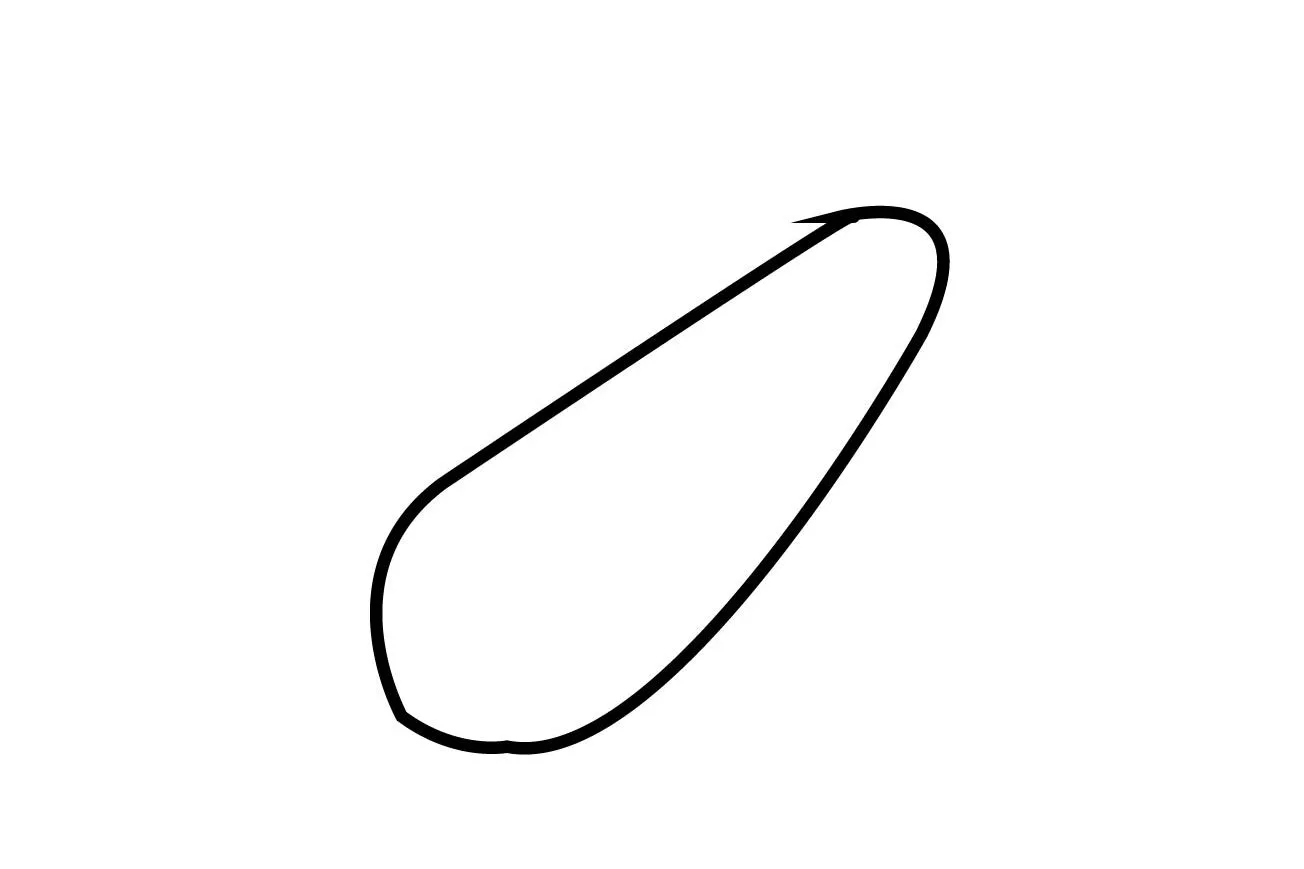 zucchini draw 1 01 edited How to Draw Zucchini