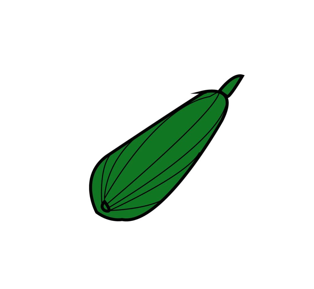 How to Draw Zucchini A StepbyStep Artistic Guide Trying drawing
